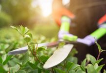 Solidaridad Obrera organiza una huelga y concentración por la situación de los jardineros en Alcorcón