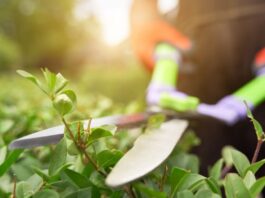 Solidaridad Obrera organiza una huelga y concentración por la situación de los jardineros en Alcorcón