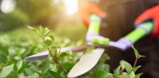 Solidaridad Obrera organiza una huelga y concentración por la situación de los jardineros en Alcorcón