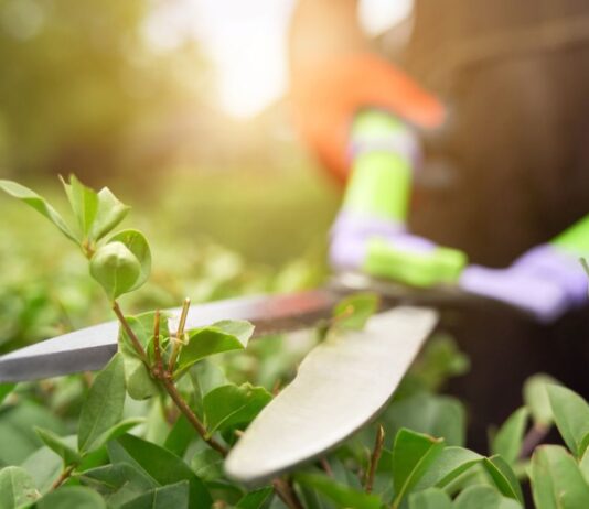 Solidaridad Obrera organiza una huelga y concentración por la situación de los jardineros en Alcorcón