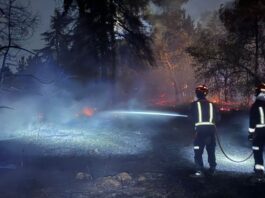 Incendio Alcorcón Móstoles