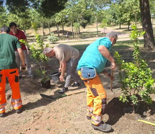 Alcorcón prepara el resto de la legislatura para plantar hasta 10.000 árboles en la ciudad