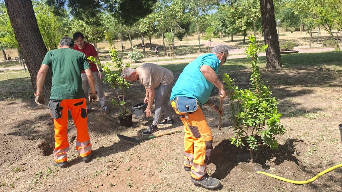 Alcorcón prepara el resto de la legislatura para plantar hasta 10.000 árboles en la ciudad