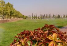 Alcorcón apuesta por el riego inteligente y estrena tecnología para ahorrar agua