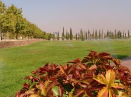 Alcorcón apuesta por el riego inteligente y estrena tecnología para ahorrar agua