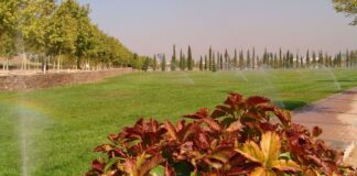 Alcorcón apuesta por el riego inteligente y estrena tecnología para ahorrar agua