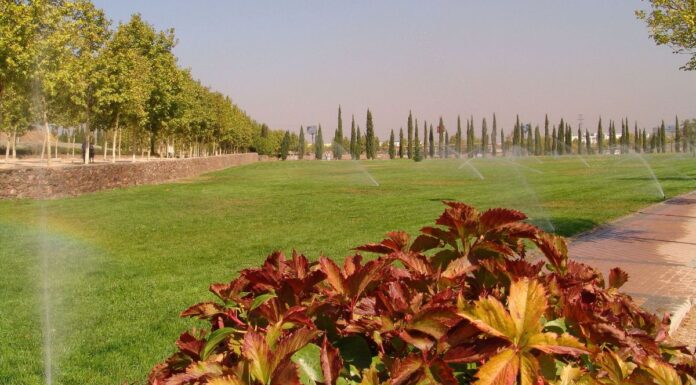 Alcorcón apuesta por el riego inteligente y estrena tecnología para ahorrar agua