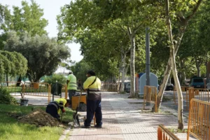 Ligero descenso del desempleo en Alcorcón en el último año
