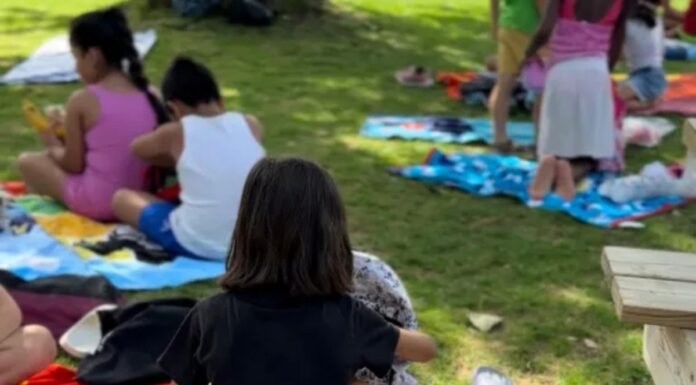 Así son los Campamentos de Verano 2025 en Alcorcón