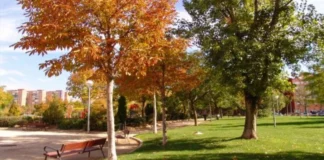Gran fiesta en el Parque de la Ribota para dar la bienvenida al otoño en Alcorcón