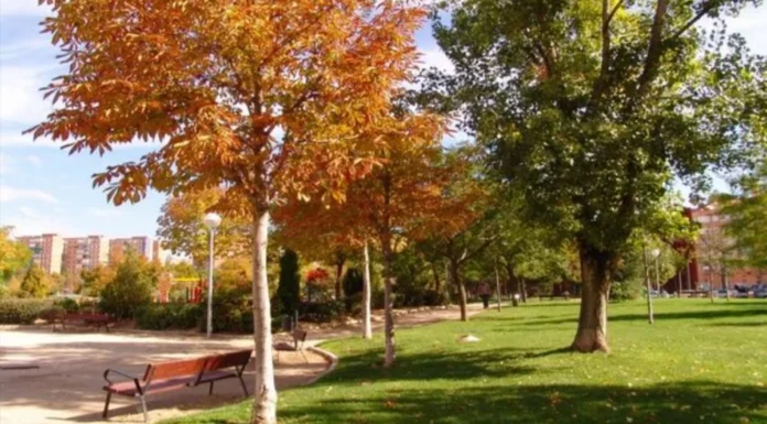 Gran fiesta en el Parque de la Ribota para dar la bienvenida al otoño en Alcorcón Gran fiesta en el Parque de la Ribota para dar la bienvenida al otoño en Alcorcón