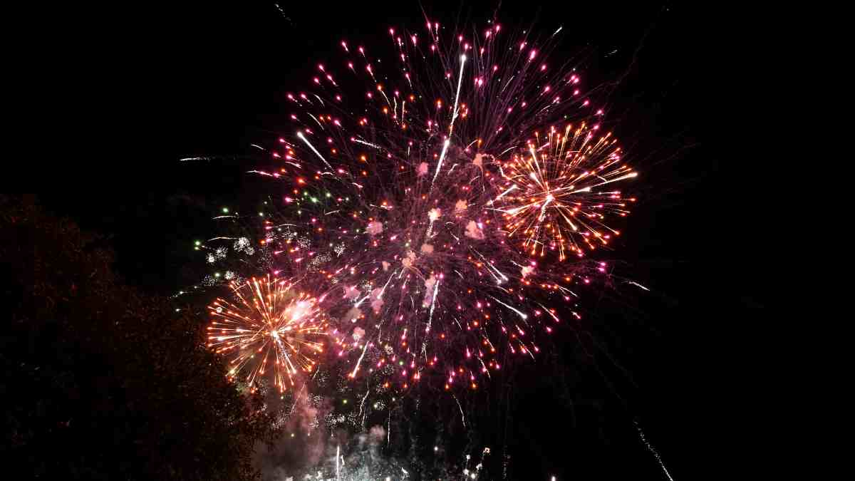 Alcorcón se despide de sus fiestas patronales con su habitual espectáculo de fuegos artificiales Alcorcón se despide de sus fiestas patronales con su habitual espectáculo de fuegos artificiales