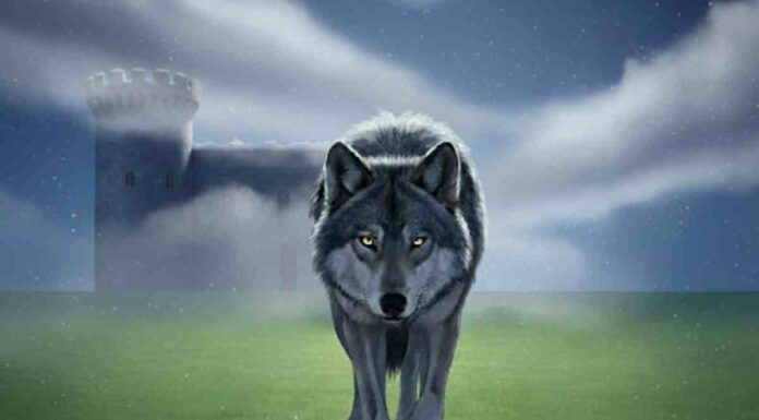 Alcorcón Extraño: Agente, he visto un perro