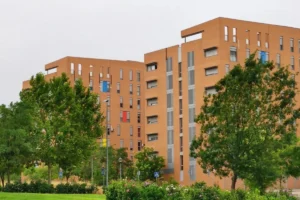 El Partido Popular de Alcorcón propone la puesta en marcha del Plan Alquila Joven