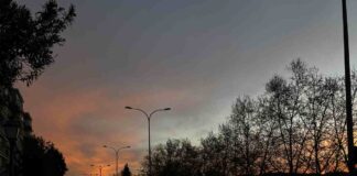 Alcorcón SaborQueMola en Parque Lisboa: siete propuestas irresistibles 