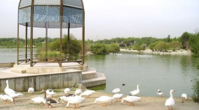 Alcorcón, entre los 15 municipios con restricciones tras el brote de gripe aviar Alcorcón, entre los 15 municipios con restricciones tras el brote de gripe aviar