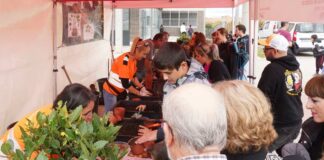 El Ecomercado regresa a Alcorcón: productos locales, talleres y música en el Parque de la Paz