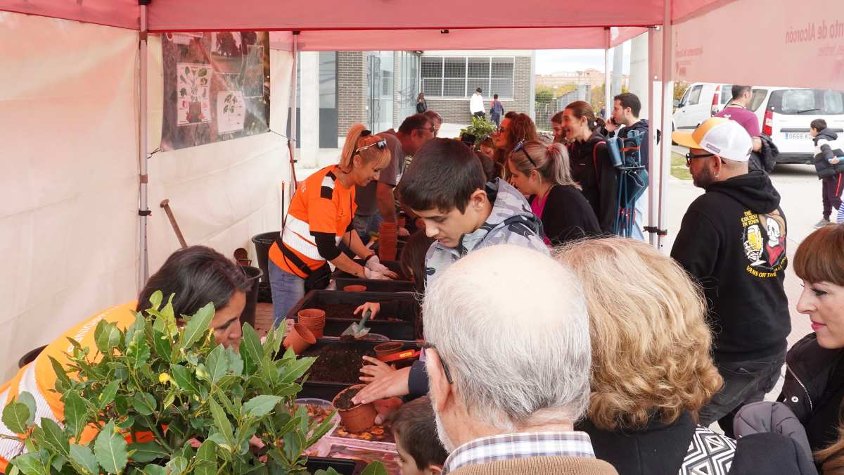 El Ecomercado regresa a Alcorcón: productos locales, talleres y música en el Parque de la Paz