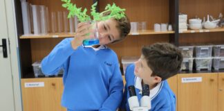 Semana de la Ciencia: cómo despertar la curiosidad científica de los niños desde casa y el colegio