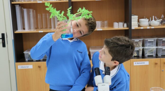 Semana de la Ciencia: cómo despertar la curiosidad científica de los niños desde casa y el colegio