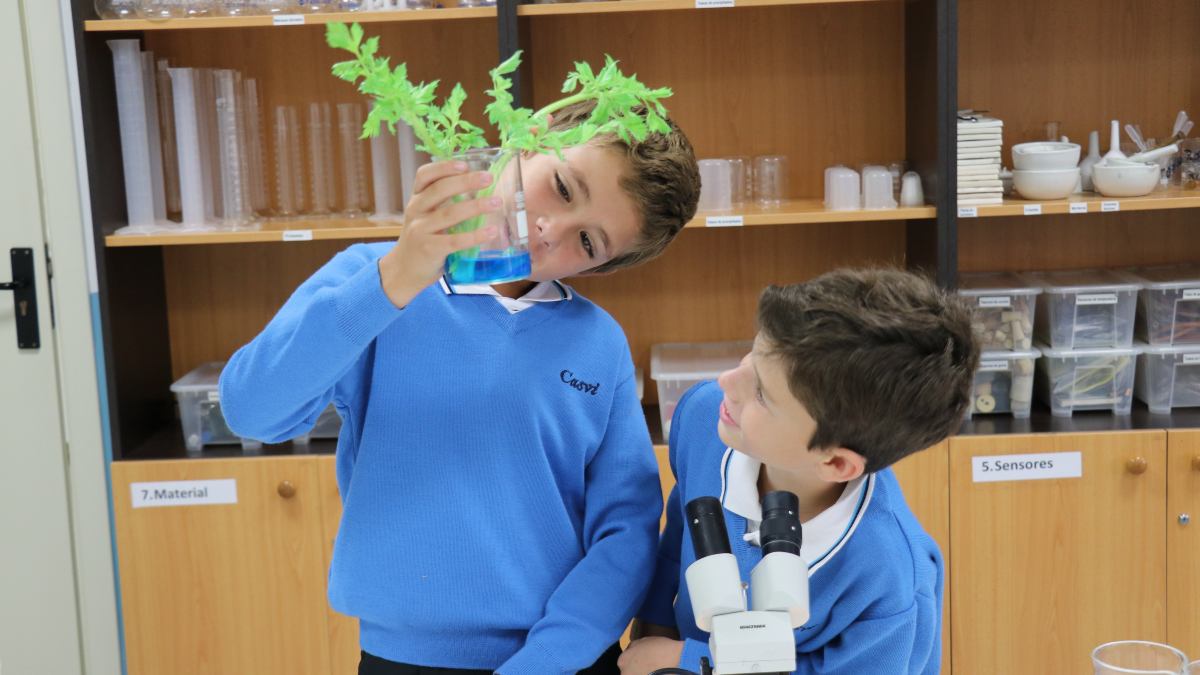 Semana de la Ciencia: cómo despertar la curiosidad científica de los niños desde casa y el colegio