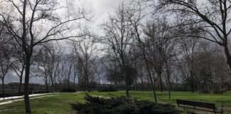 Locura térmica en Alcorcón: así será el tiempo la próxima semana