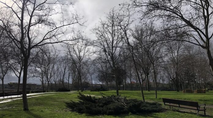 Locura térmica en Alcorcón: así será el tiempo la próxima semana