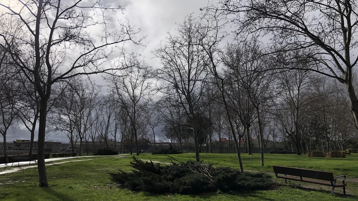 Locura térmica en Alcorcón: así será el tiempo la próxima semana Locura térmica en Alcorcón: así será el tiempo la próxima semana
