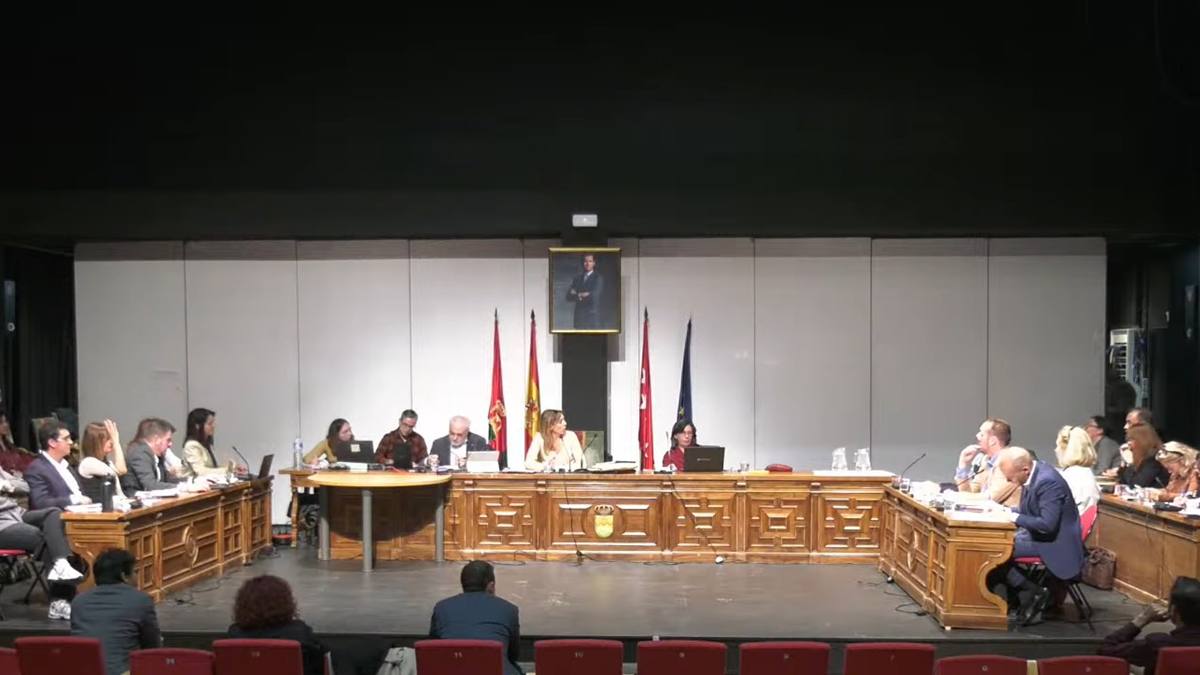 Sin acuerdo para la moción sobre la prevención del acoso escolar en Alcorcón