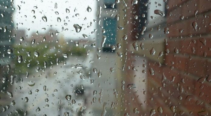 Semana variable en Alcorcón con un finde gris y lluvioso Semana variable en Alcorcón con un finde gris y lluvioso