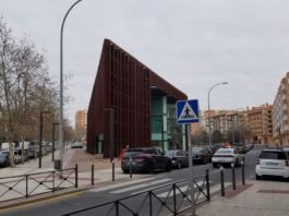 Los Pinos en la zona de Prado de Santo Domingo