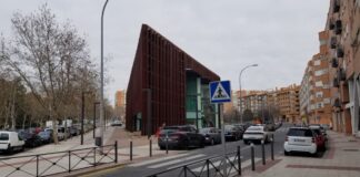 Los Pinos en la zona de Prado de Santo Domingo