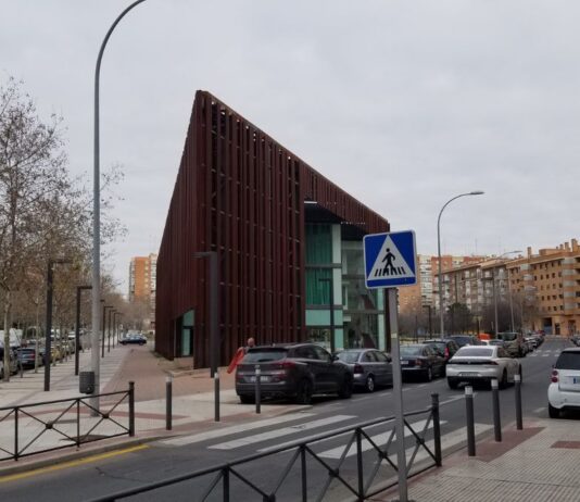 Los Pinos en la zona de Prado de Santo Domingo