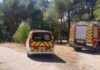 Una rápida actuación de los bomberos frena un conato de incendio forestal en Alcorcón Una rápida actuación de los bomberos frena un conato de incendio forestal en Alcorcón