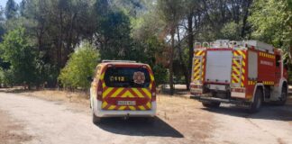 Una rápida actuación de los bomberos frena un conato de incendio forestal en Alcorcón