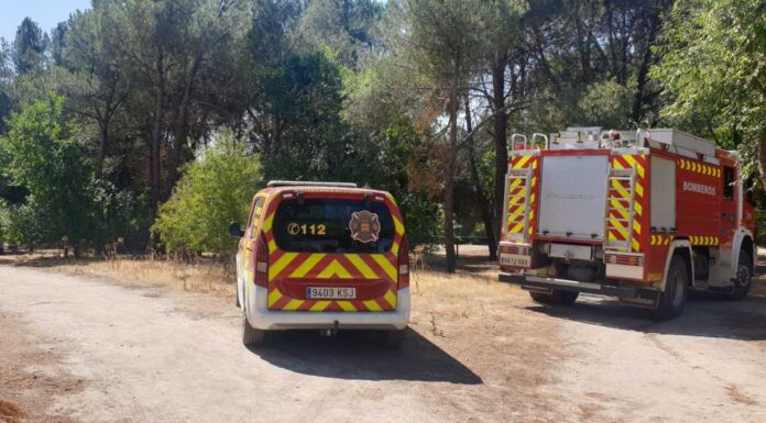 Una rápida actuación de los bomberos frena un conato de incendio forestal en Alcorcón Una rápida actuación de los bomberos frena un conato de incendio forestal en Alcorcón