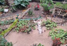 Rufino lo vuelve a hacer: el impresionante Belén de la calle Noya que ya es tradición en Alcorcón