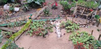 Rufino lo vuelve a hacer: el impresionante Belén de la calle Noya que ya es tradición en Alcorcón