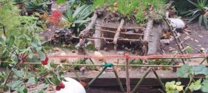 Rufino lo vuelve a hacer: el impresionante Belén de la calle Noya que ya es tradición en Alcorcón