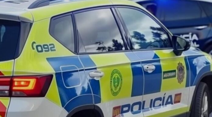 Dos detenidos en Alcorcón por robar dinero y transportar aves protegidas sin autorización