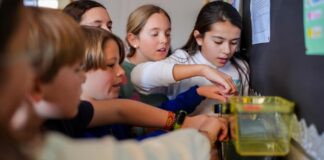 Aprobada la jornada partida en colegios públicos para las familias de Alcorcón y el resto de la región