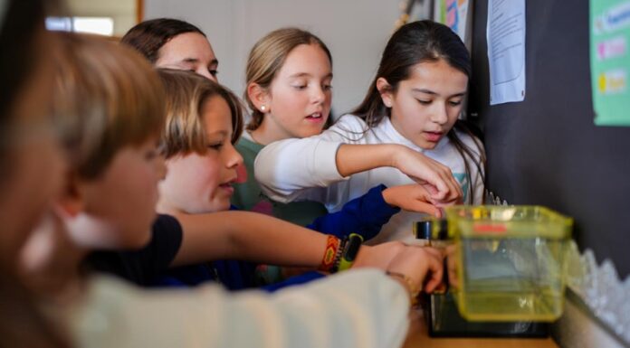Aprobada la jornada partida en colegios públicos para las familias de Alcorcón y el resto de la región