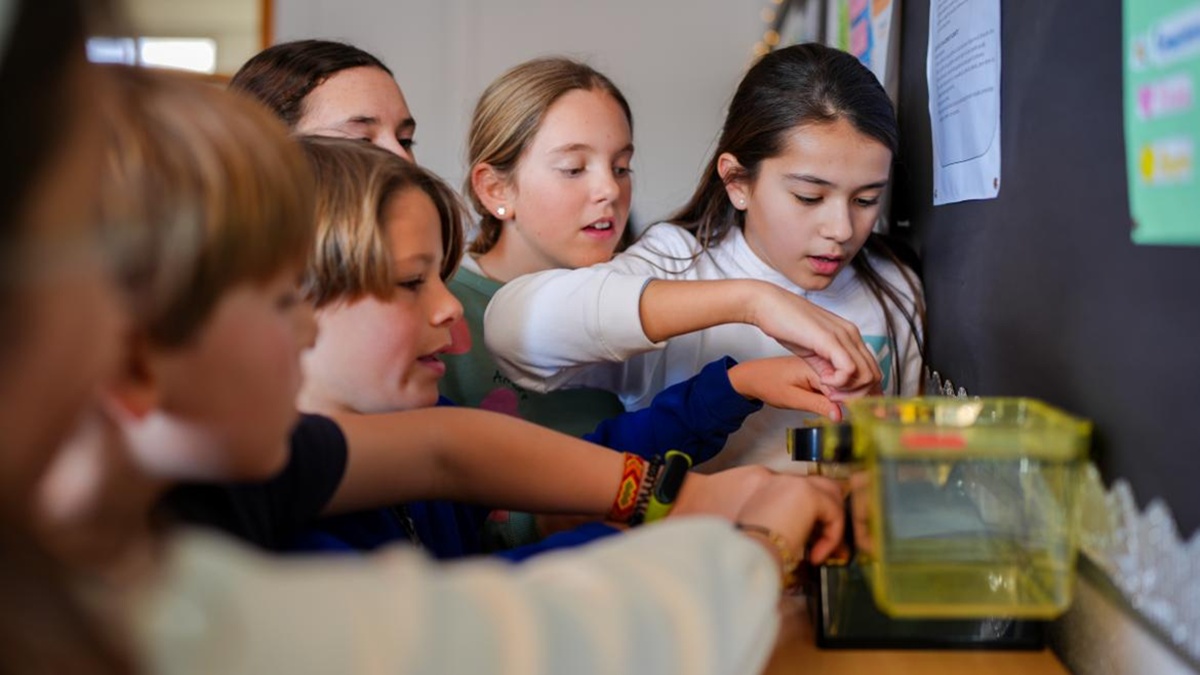Aprobada la jornada partida en colegios públicos para las familias de Alcorcón y el resto de la región