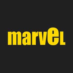 Técnico Informático – Técnico de Campo en Alcorcón