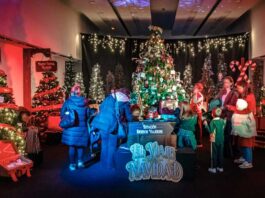 Los mejores planes para este fin de semana en Alcorcón: agenda de Navidad y gastronomía local Los mejores planes para este fin de semana en Alcorcón: agenda de Navidad y gastronomía local