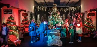 Los mejores planes para este fin de semana en Alcorcón: agenda de Navidad y gastronomía local