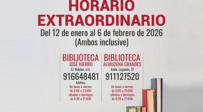 Bibliotecas Alcorcón