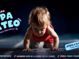 Llega a X-Madrid la carrera más tierna del año: Copa Gateo en Alcorcón Llega a X-Madrid la carrera más tierna del año: Copa Gateo en Alcorcón