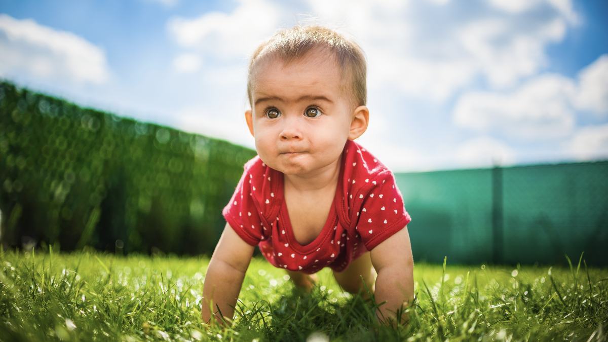 os mejores planes para este fin de semana en Alcorcón: una "carrera de pañales", teatro y una feria de bodas os mejores planes para este fin de semana en Alcorcón: una "carrera de pañales", teatro y una feria de bodas