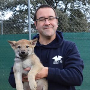 Educación canina a domicilio en Alcorcón: una forma consciente de mejorar la convivencia con tu perro